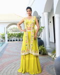 Canary Radiance Mirror-Work Divider Set with Floral Net Jacket