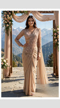 Elegant pre drape saree